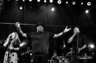 Une référence dans la musique cubaine, découvrez le concert de Los Van Van.