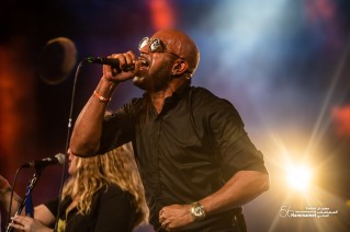 Une référence dans la musique cubaine, découvrez le concert de Los Van Van.